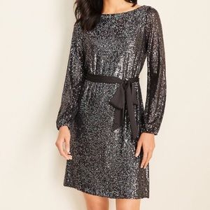NWT Ann Taylor Sequin Dress